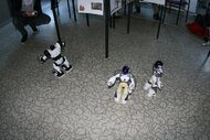 IMG_6044